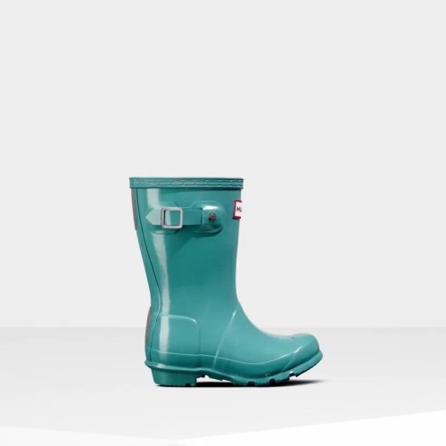 Hunter Original Gloss Wellies (Z218G) Ireland